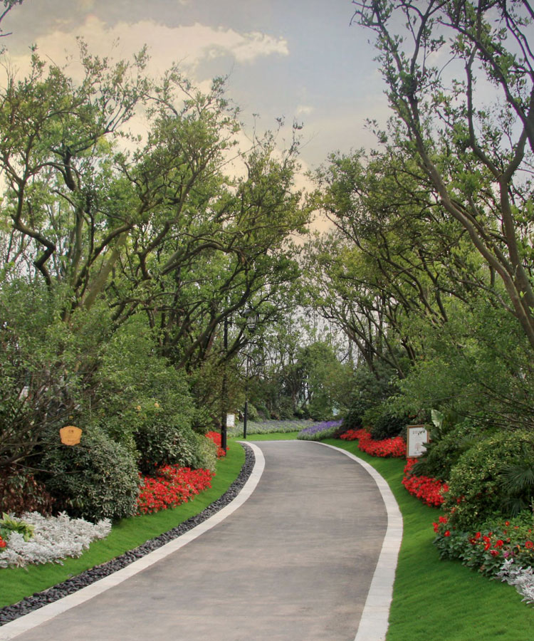 讓我們一起種植希望！